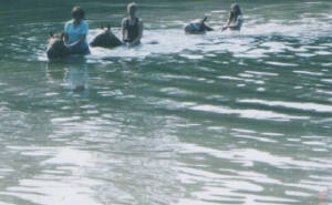swim5.jpg