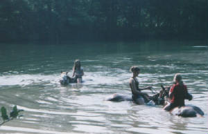swim6.jpg
