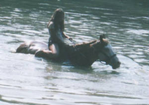 swim7.jpg
